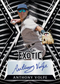 2023 Leaf Exotic Baseball Hobby Box