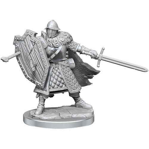D&D - Frameworks Miniatures - Human Fighter Male