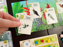 Wingspan - Americas Expansion