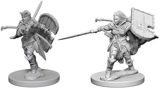 Pathfinder Deep Cuts Unpainted Miniatures - Human Female Paladin