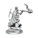 D&D - Frameworks Miniatures - Dragonborn Sorcerer Female