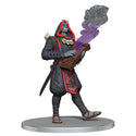 Pathfinder Battles - Painted Miniatures - Fists of the Ruby Phoenix - Tournament of Trials Set