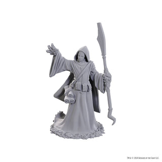 D&D - Unpainted Miniatures - Nolzur's Marvelous Miniatures - Star Spawn Larva Mage