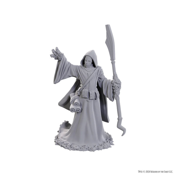 D&D - Unpainted Miniatures - Nolzur's Marvelous Miniatures - Star Spawn Larva Mage