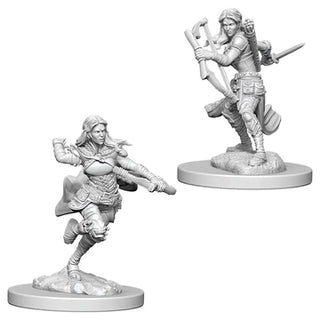 D&D - Nolzur's Marvelous Unpainted Miniatures - Air Genasi Female Rogue