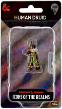 D&D - Icons of the Realms - Premium Painted Miniatures - Female Human Druid