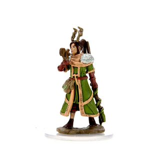 D&D - Icons of the Realms - Premium Painted Miniatures - Female Human Druid