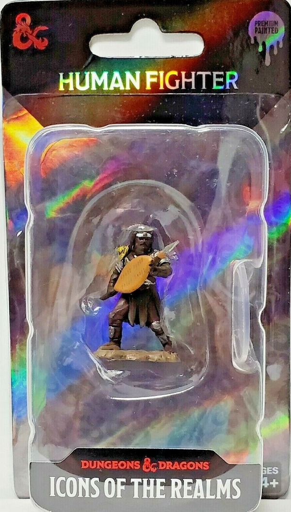 D&D - Icons of the Realms - Premium Painted Miniatures - Male Human Fighter