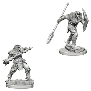 D&D - Nolzur's Marvelous Unpainted Miniatures - Dragonborn Male Fighter with Spear