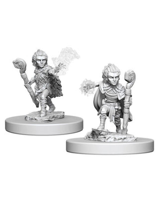 Pathfinder Deep Cuts Unpainted Miniatures - Gnome Male Druid
