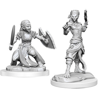 D&D - Nolzur's Marvelous Unpainted Miniatures - Shifter Fighter